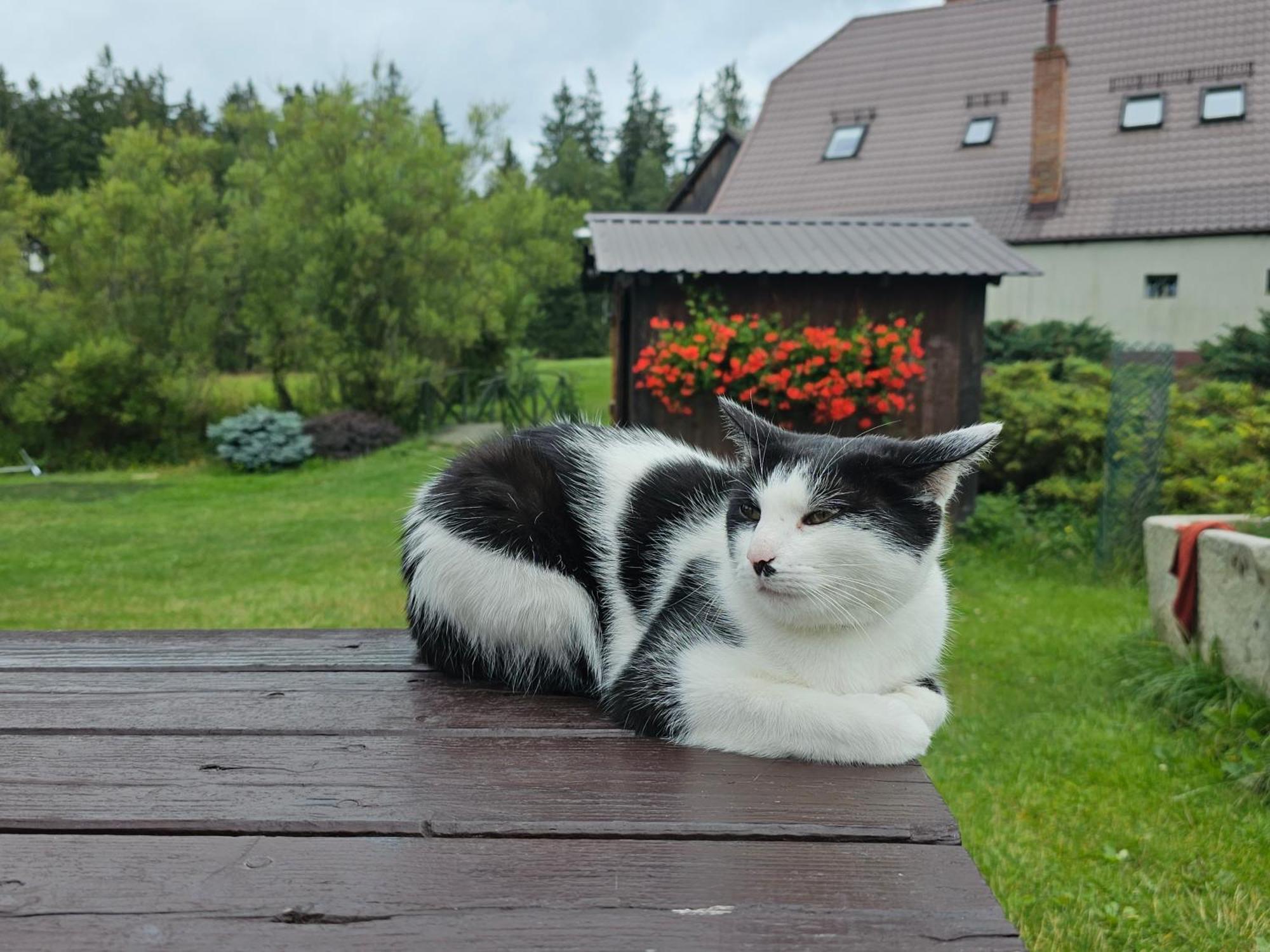 Osmelakowa Dolina Villa Spalona ภายนอก รูปภาพ